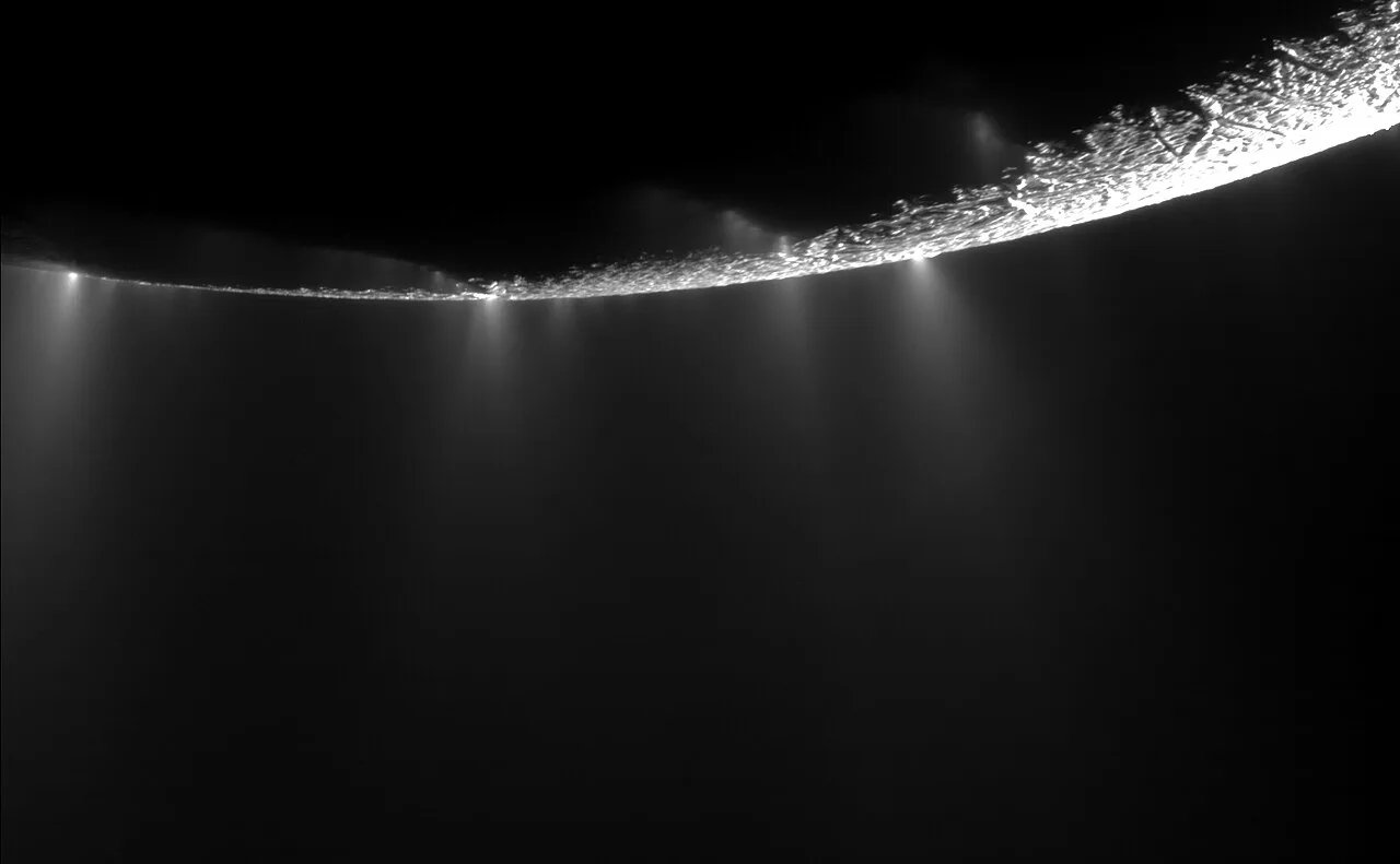 Enceladus Life Signatures and Habitability