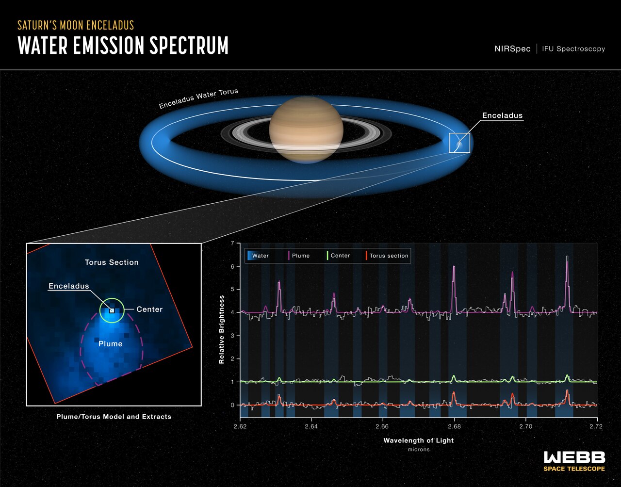 Life Investigation For Enceladus