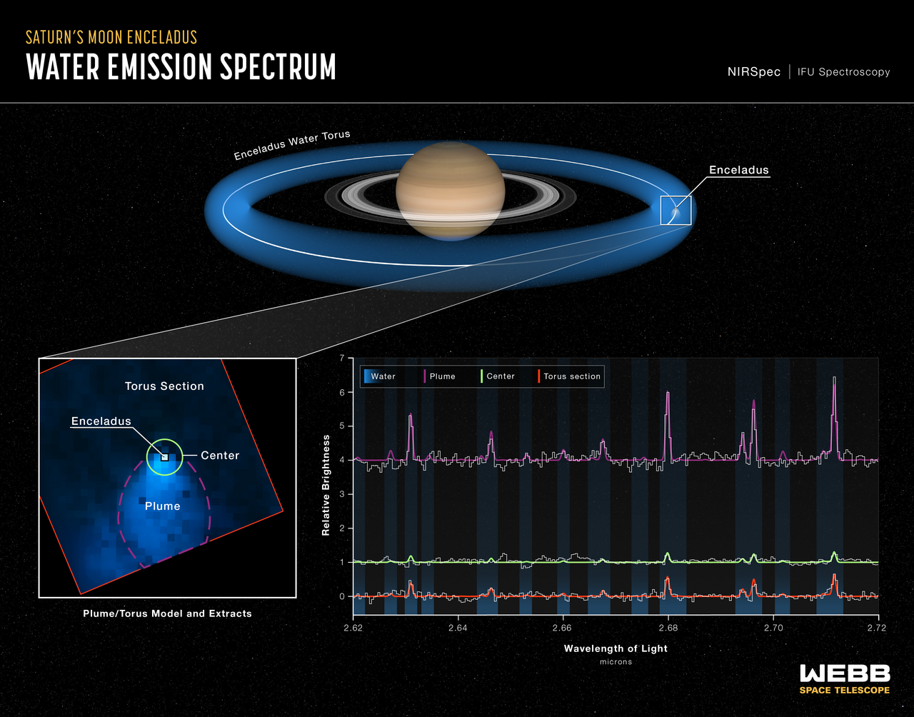 Life Investigation For Enceladus