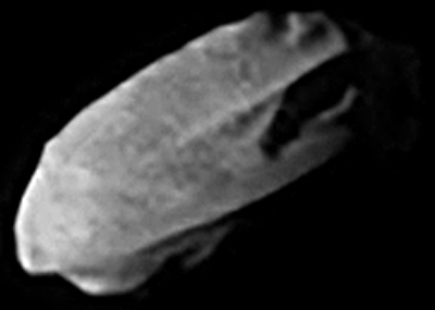 Daphnis (moon)