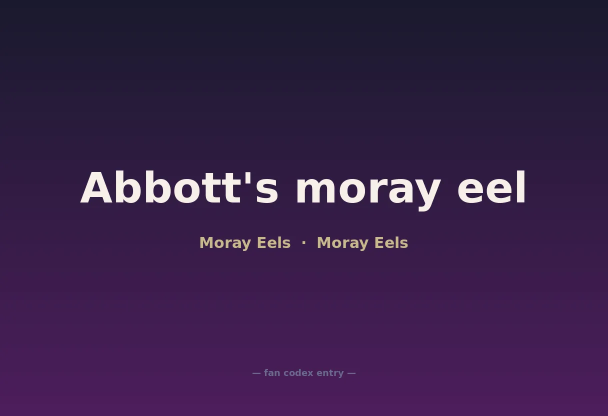 Abbott's moray eel