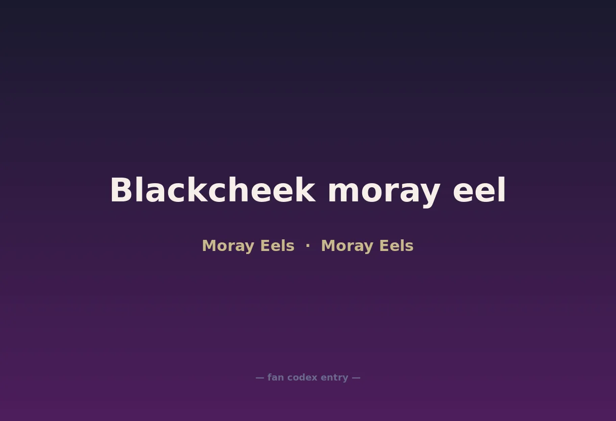 Blackcheek moray eel