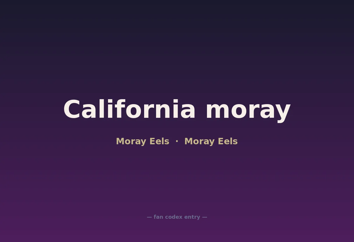 California moray