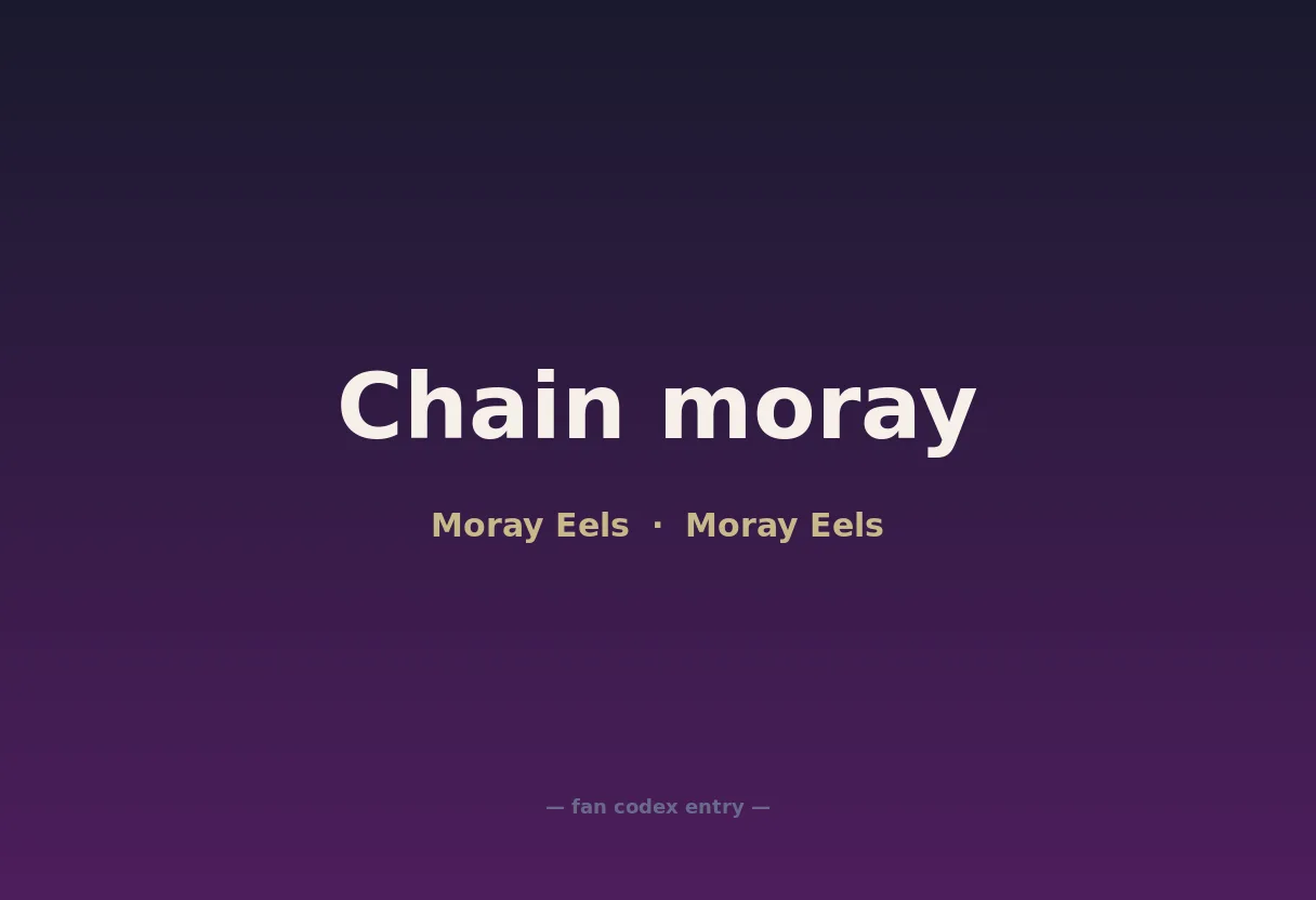 Chain moray