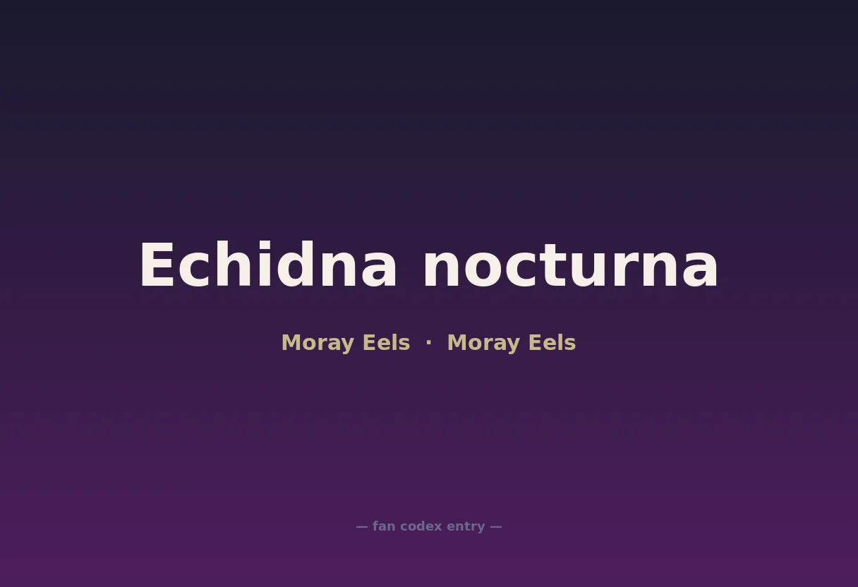 Echidna nocturna