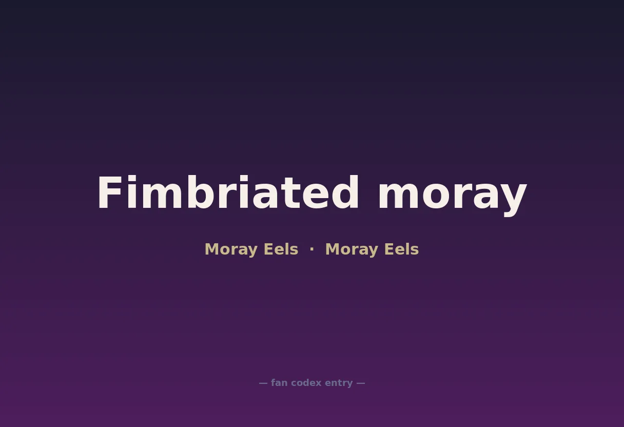 Fimbriated moray