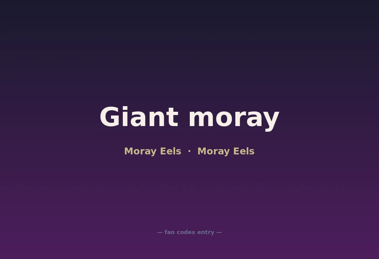 Giant moray
