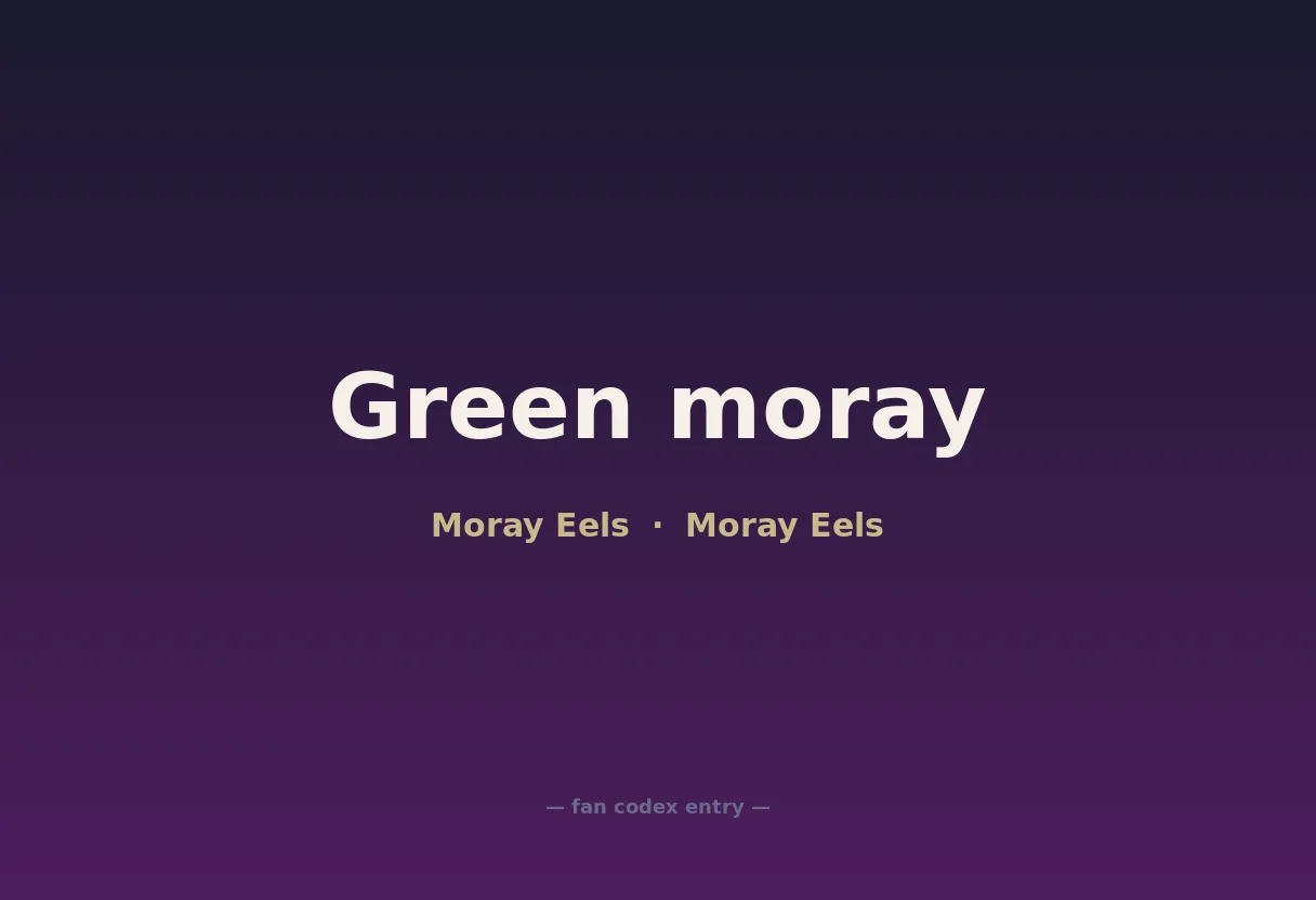 Green moray