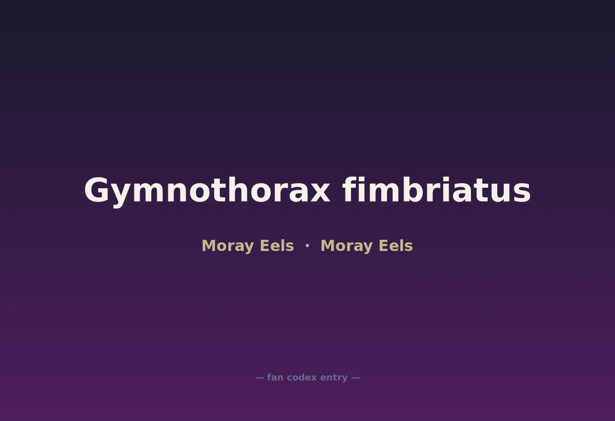 Gymnothorax fimbriatus