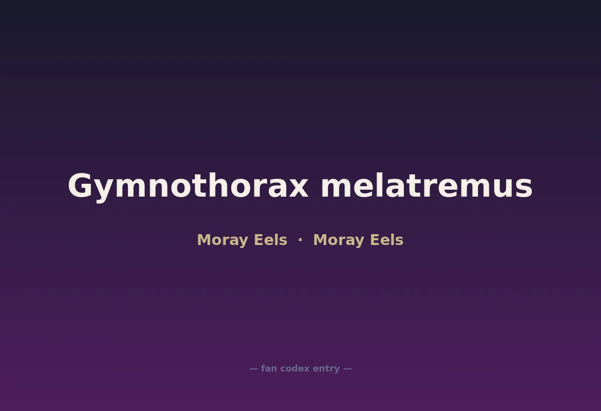 Gymnothorax melatremus