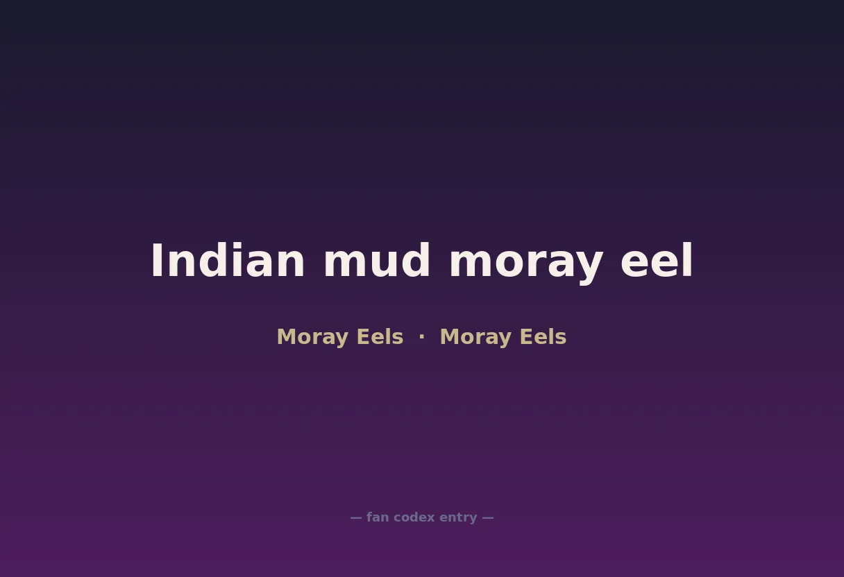 Indian mud moray eel