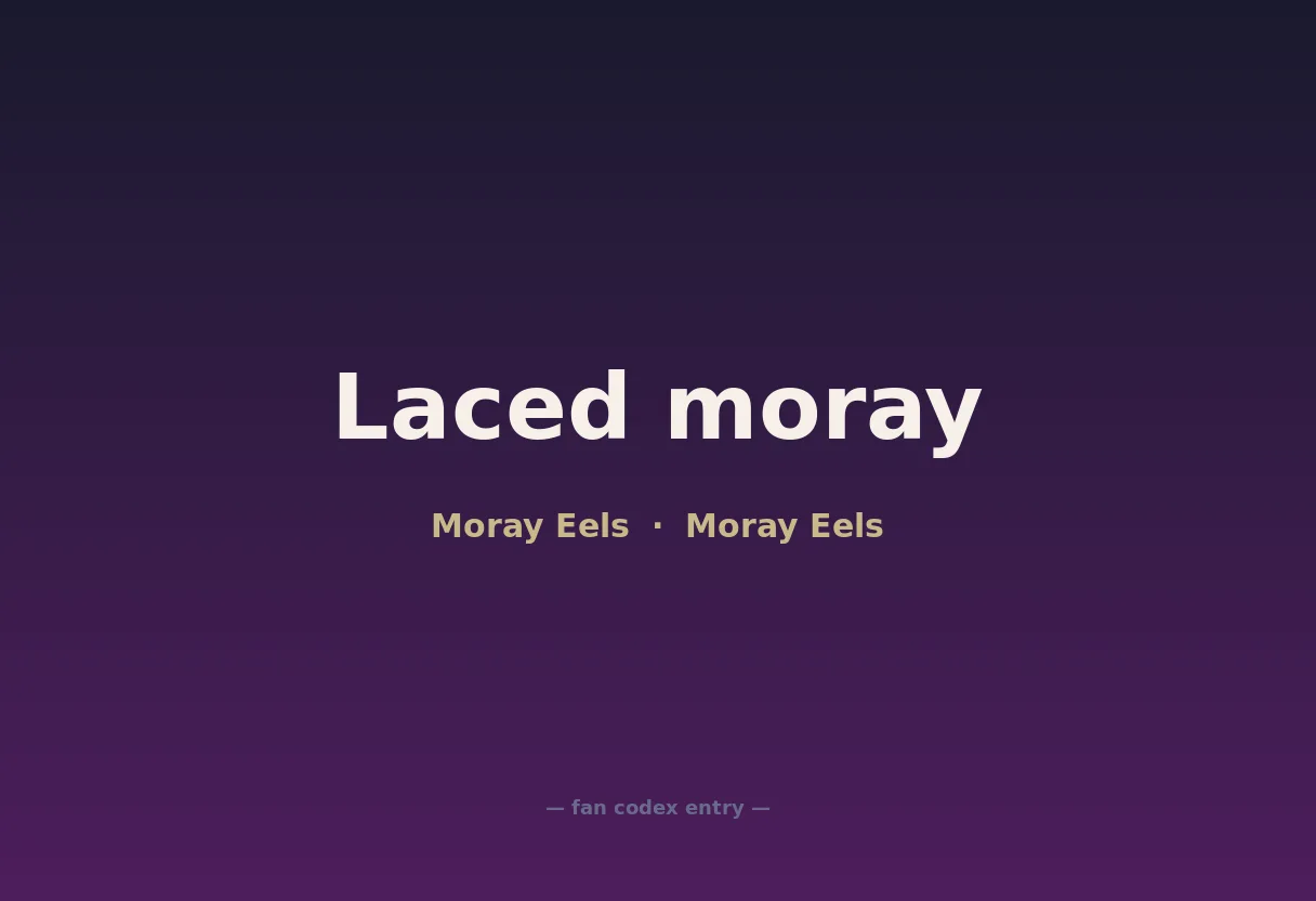 Laced moray