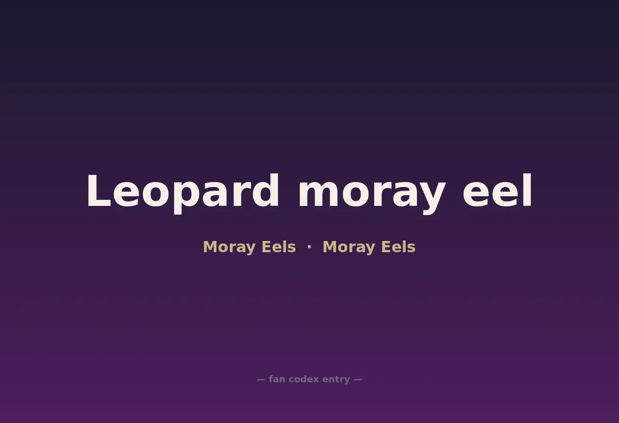 Leopard moray eel