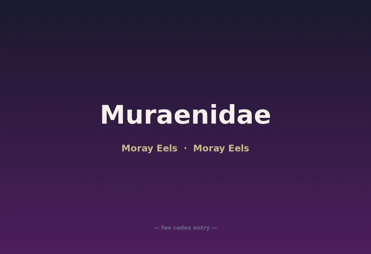 Muraenidae