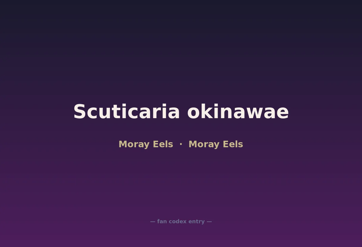 Scuticaria okinawae