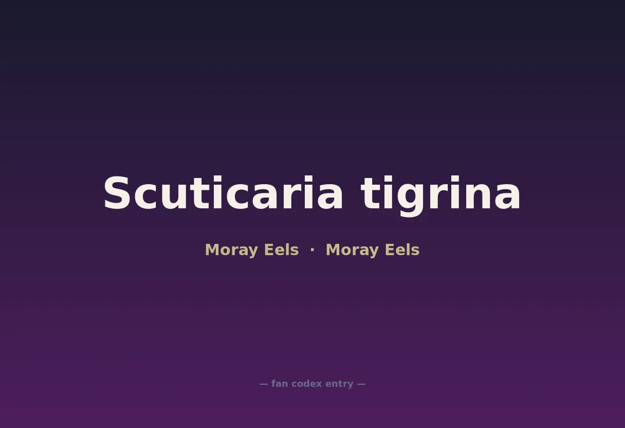 Scuticaria tigrina