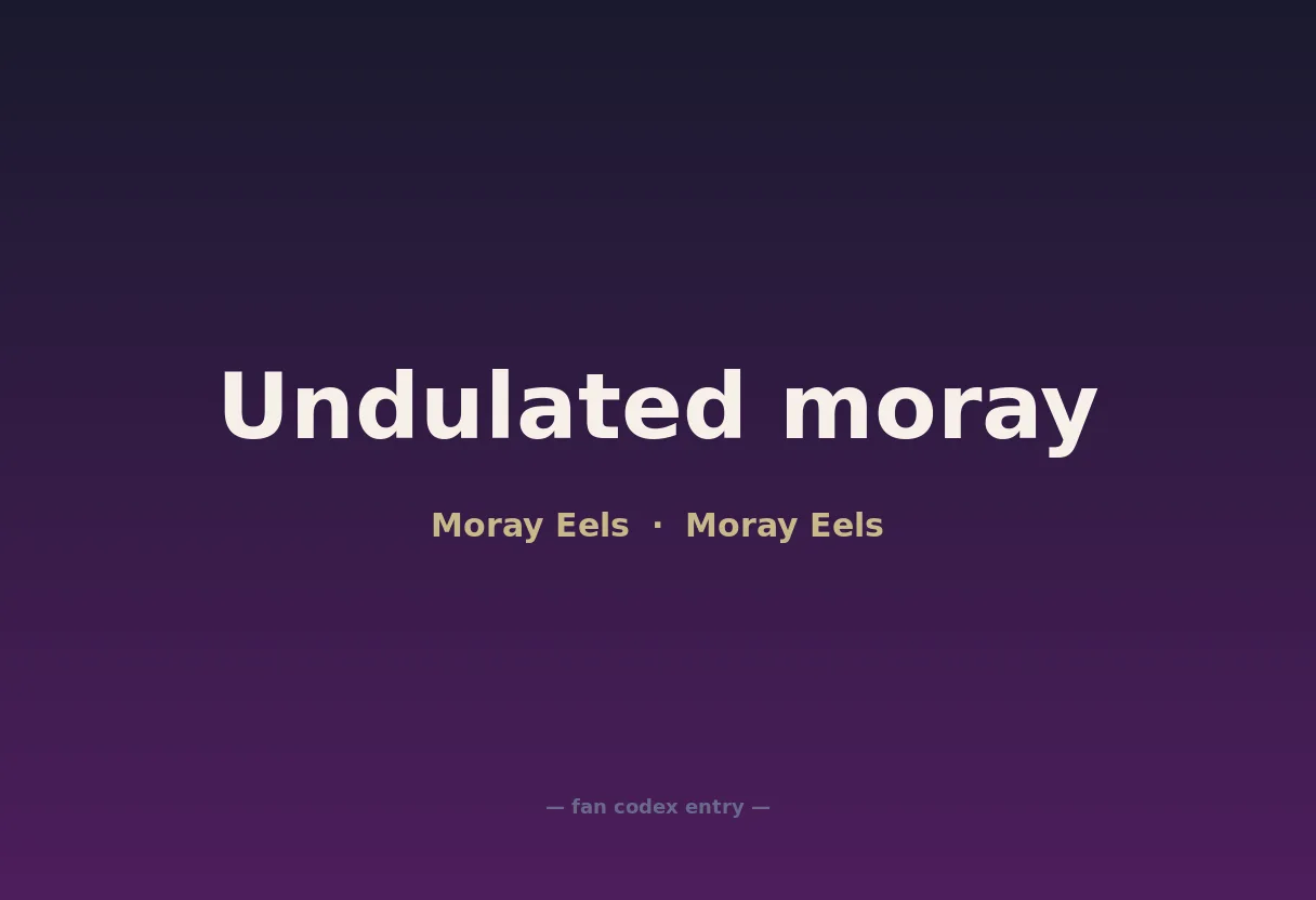 Undulated moray
