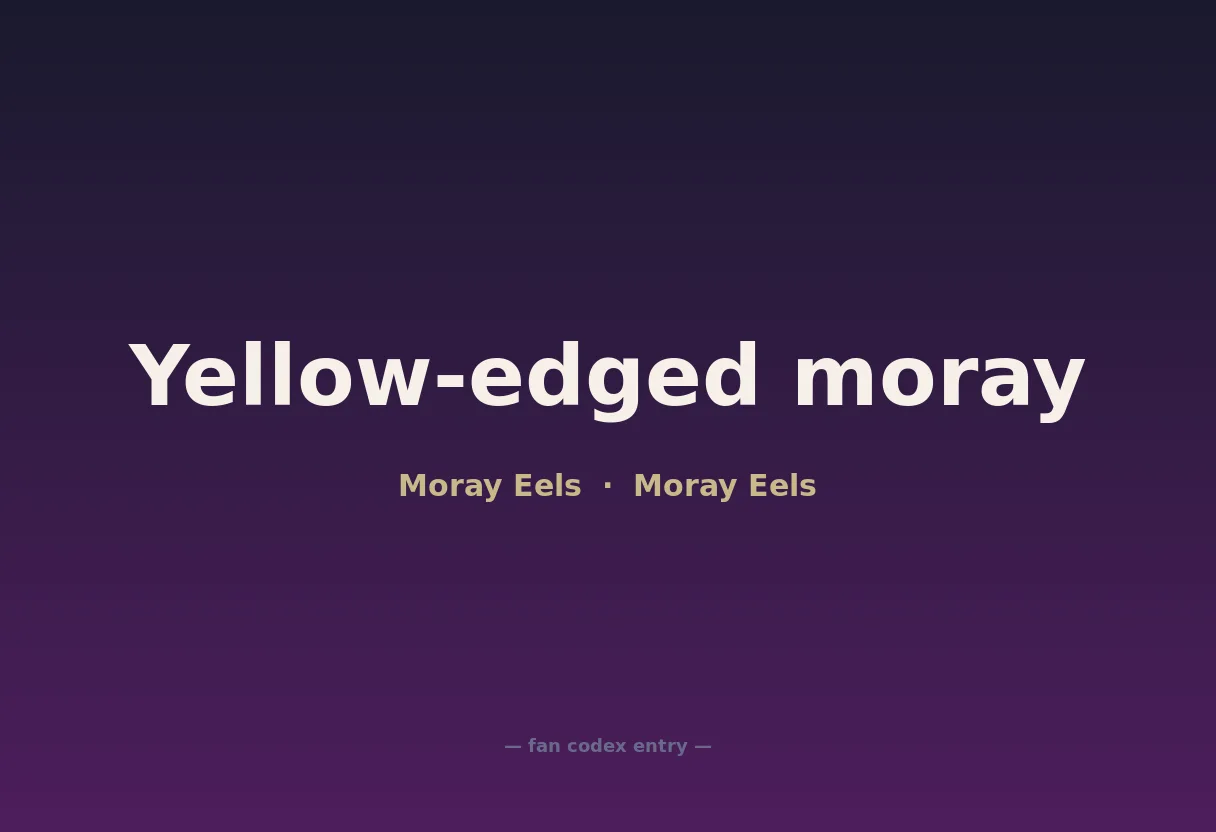 Yellow-edged moray
