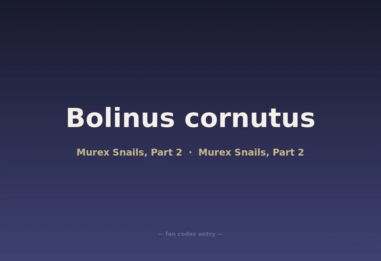 Bolinus cornutus