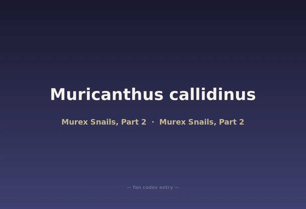 Muricanthus callidinus