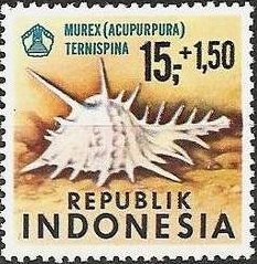 Murex