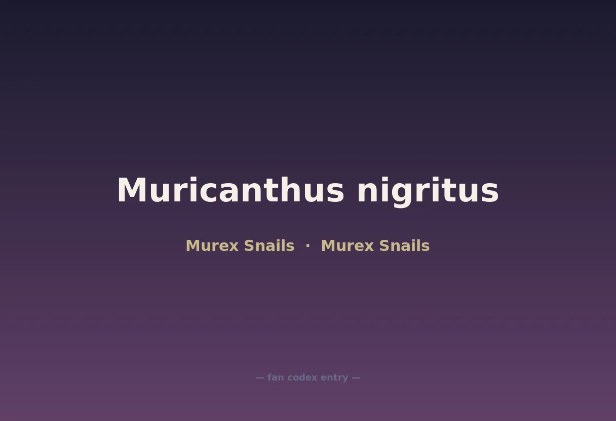 Muricanthus nigritus