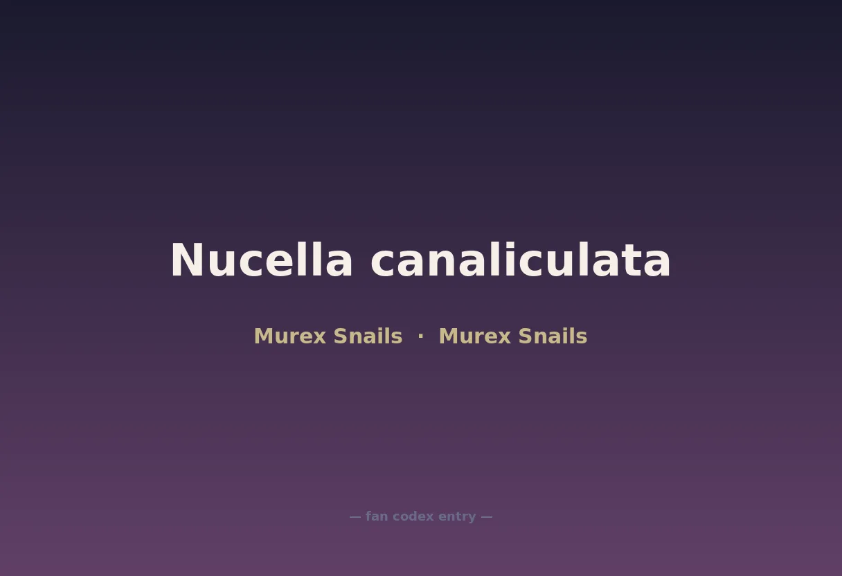 Nucella canaliculata