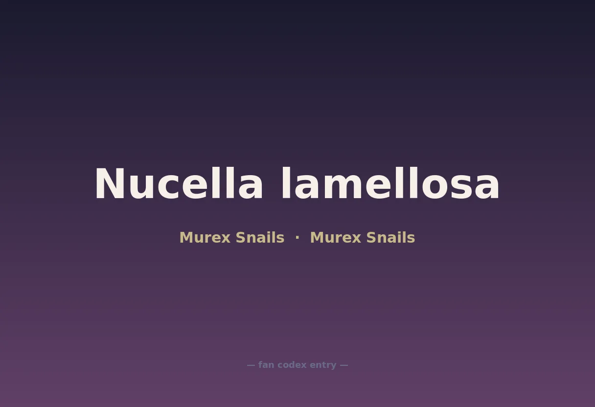 Nucella lamellosa
