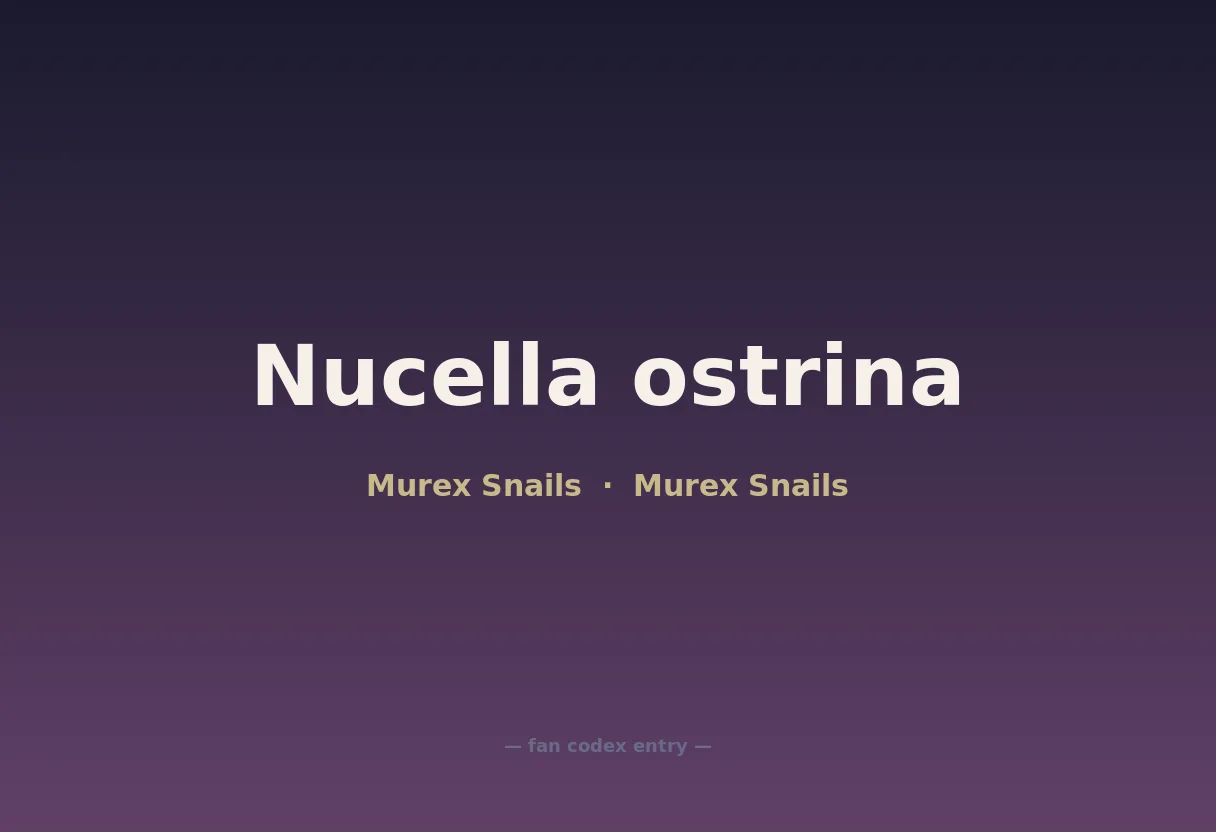 Nucella ostrina