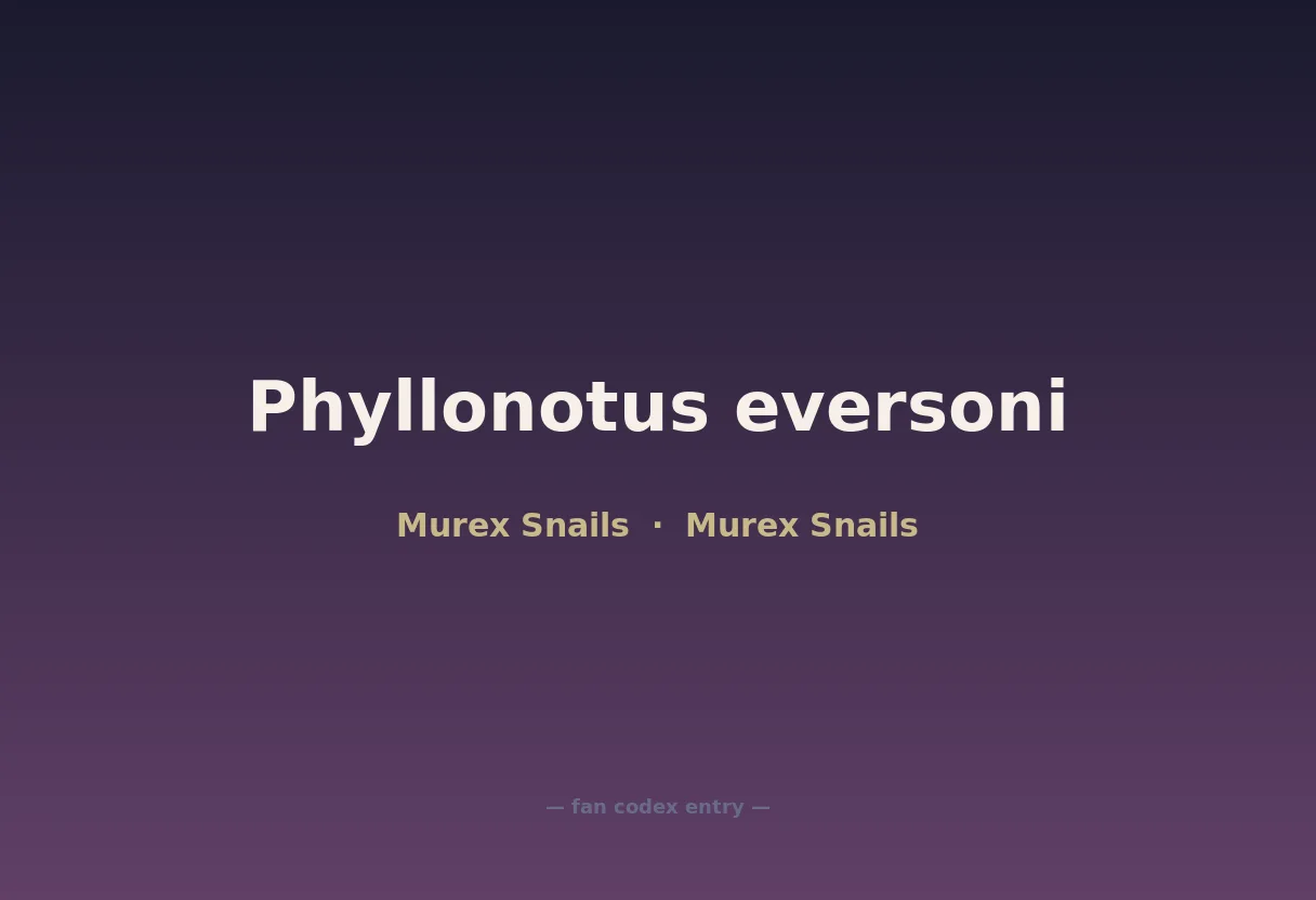 Phyllonotus eversoni