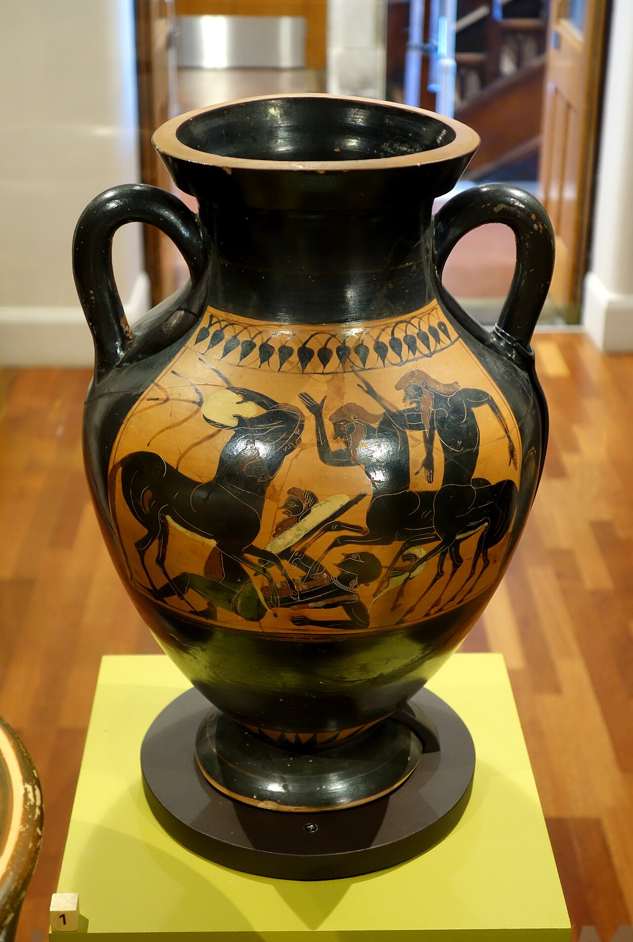 Caeneus