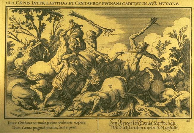 Caeneus