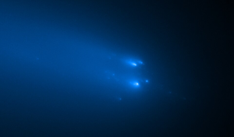 C/2019 Y4 (ATLAS)