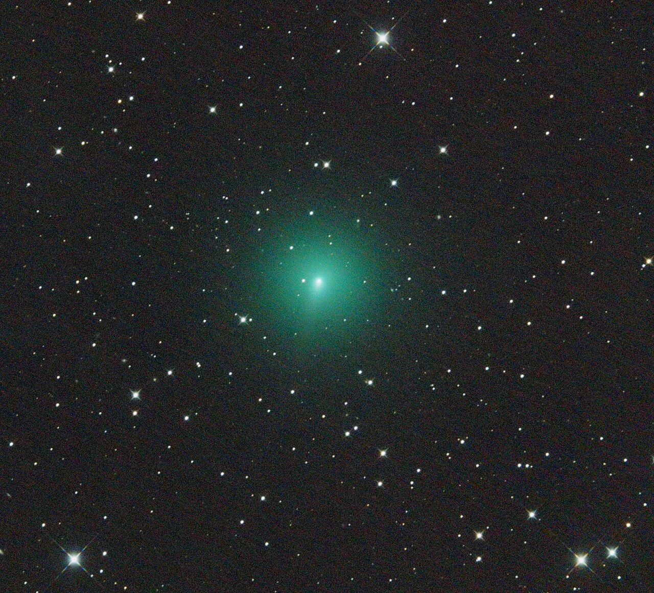 C/2019 Y4 (ATLAS)