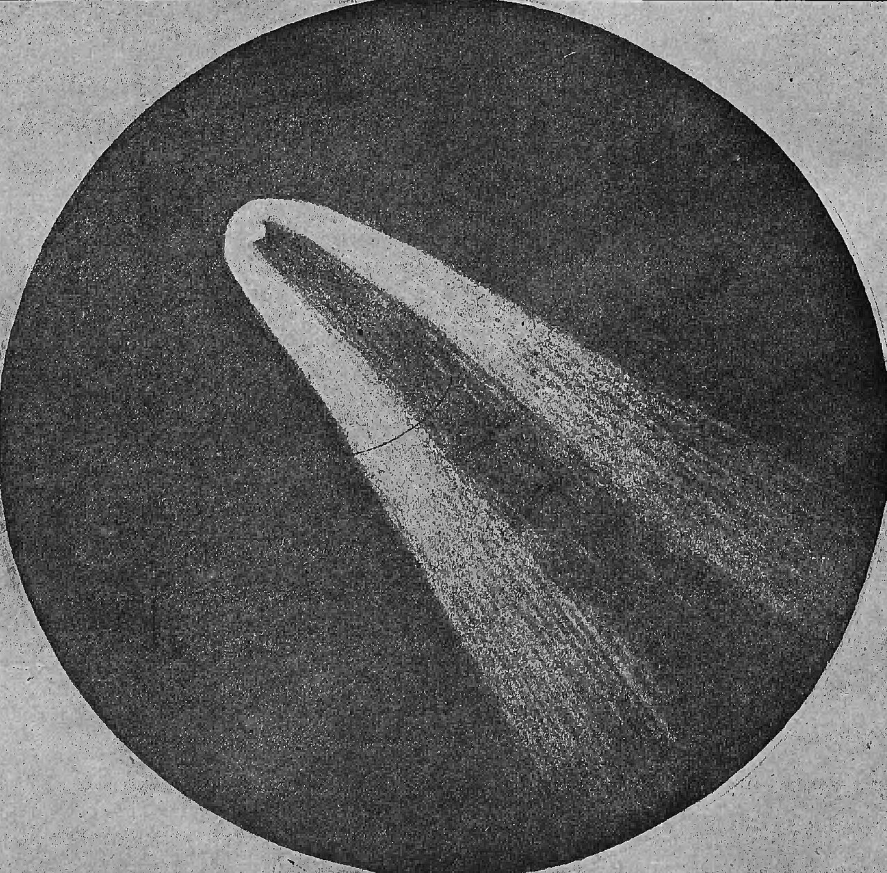 Great January Comet of 1910