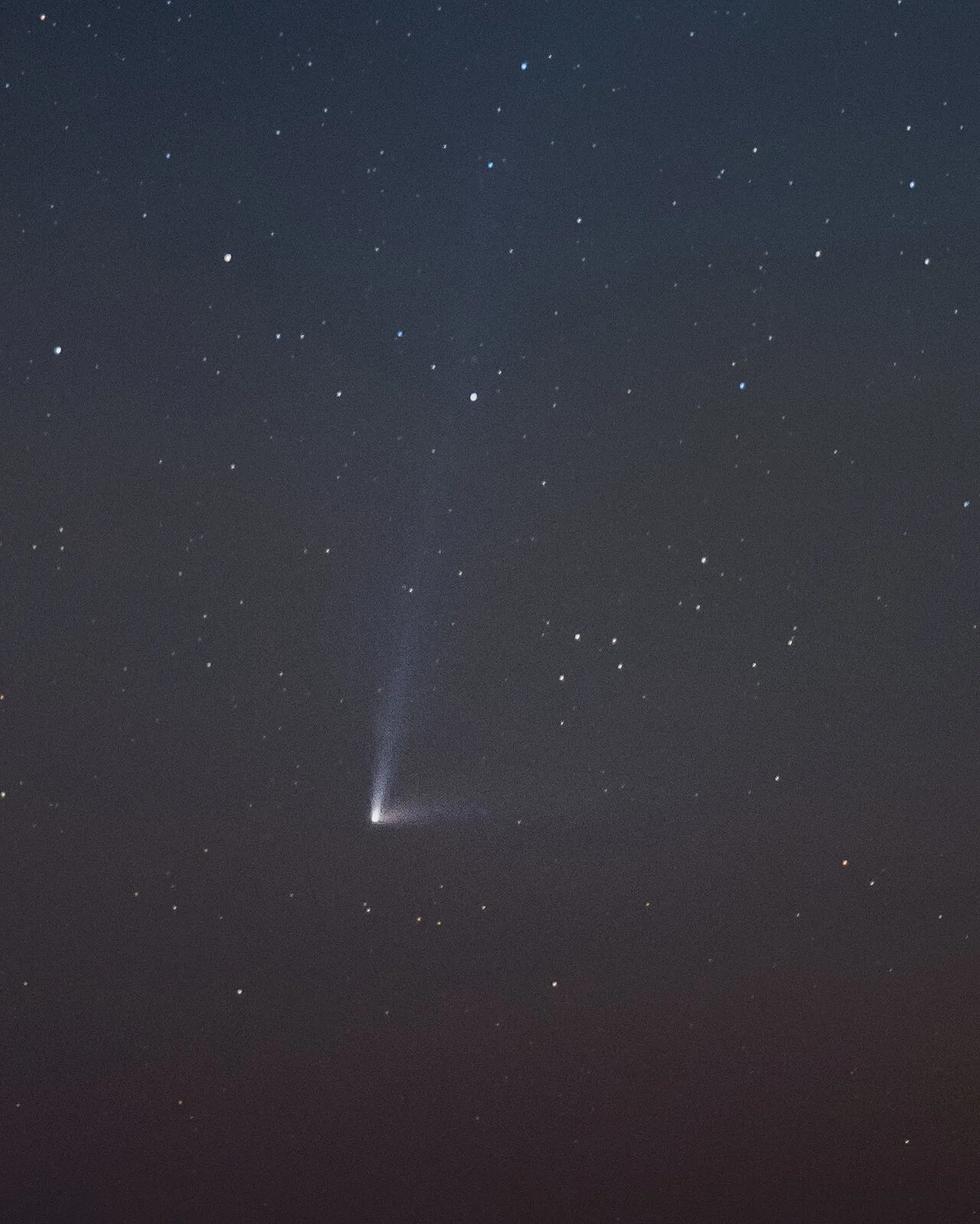 C/2014 Q1 (PanSTARRS)