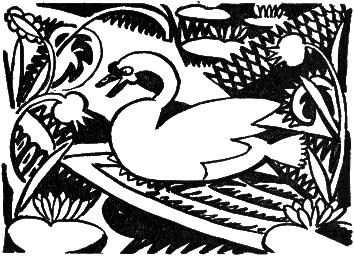 Czechoslovak fairy tales, The Golden Duck