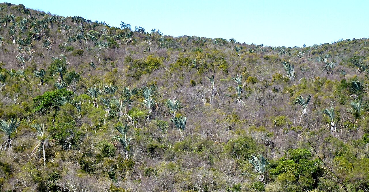 Andohahela National Park