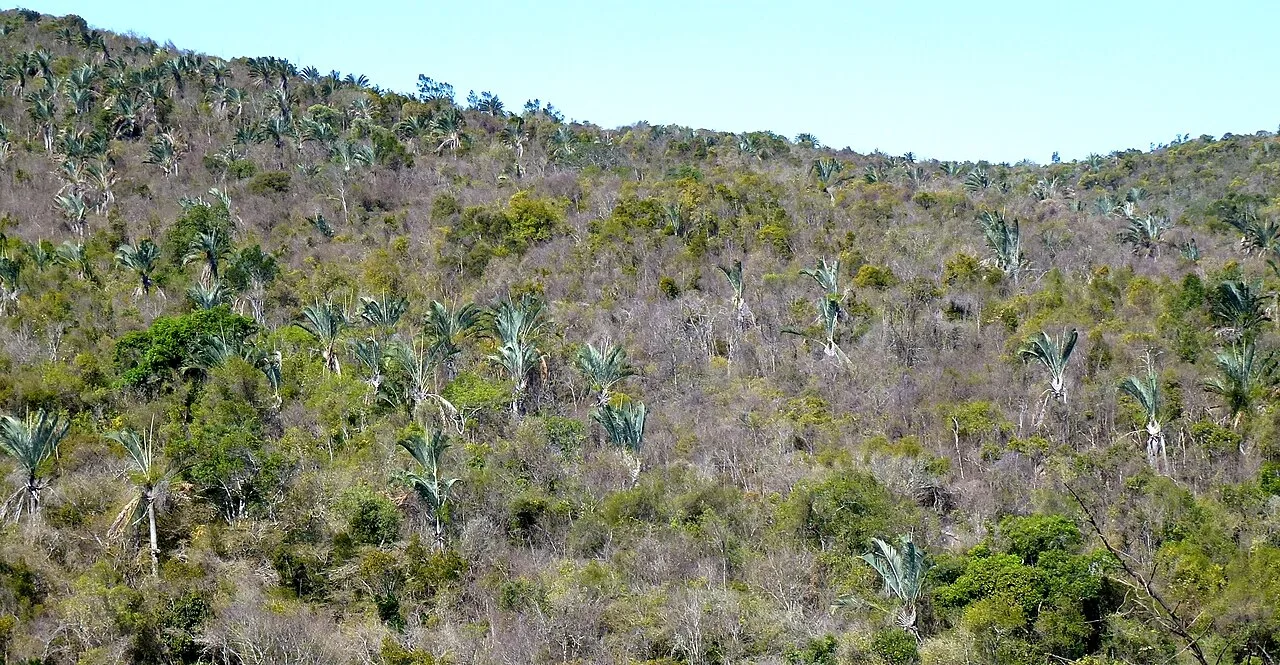 Andohahela National Park