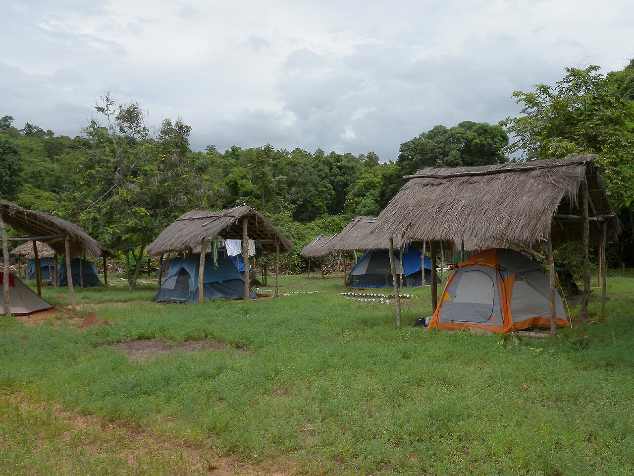 Ankarafantsika National Park