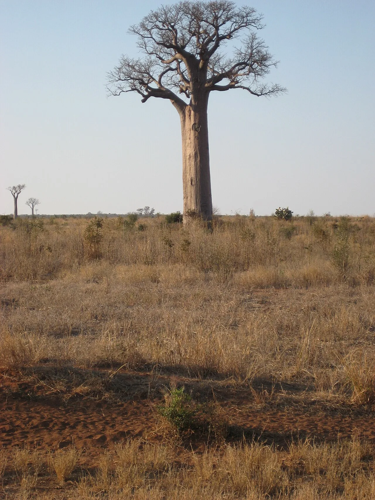 Isalo National Park