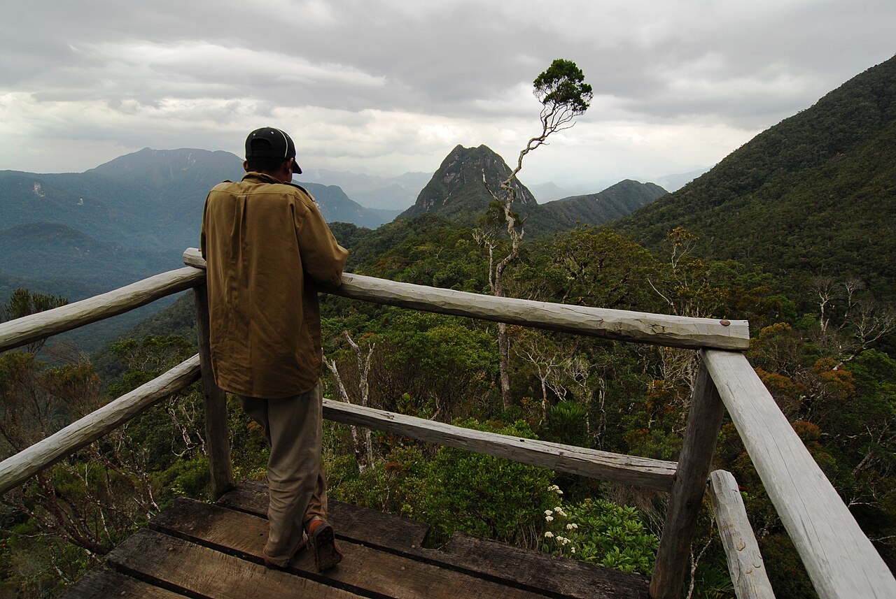Marojejy National Park