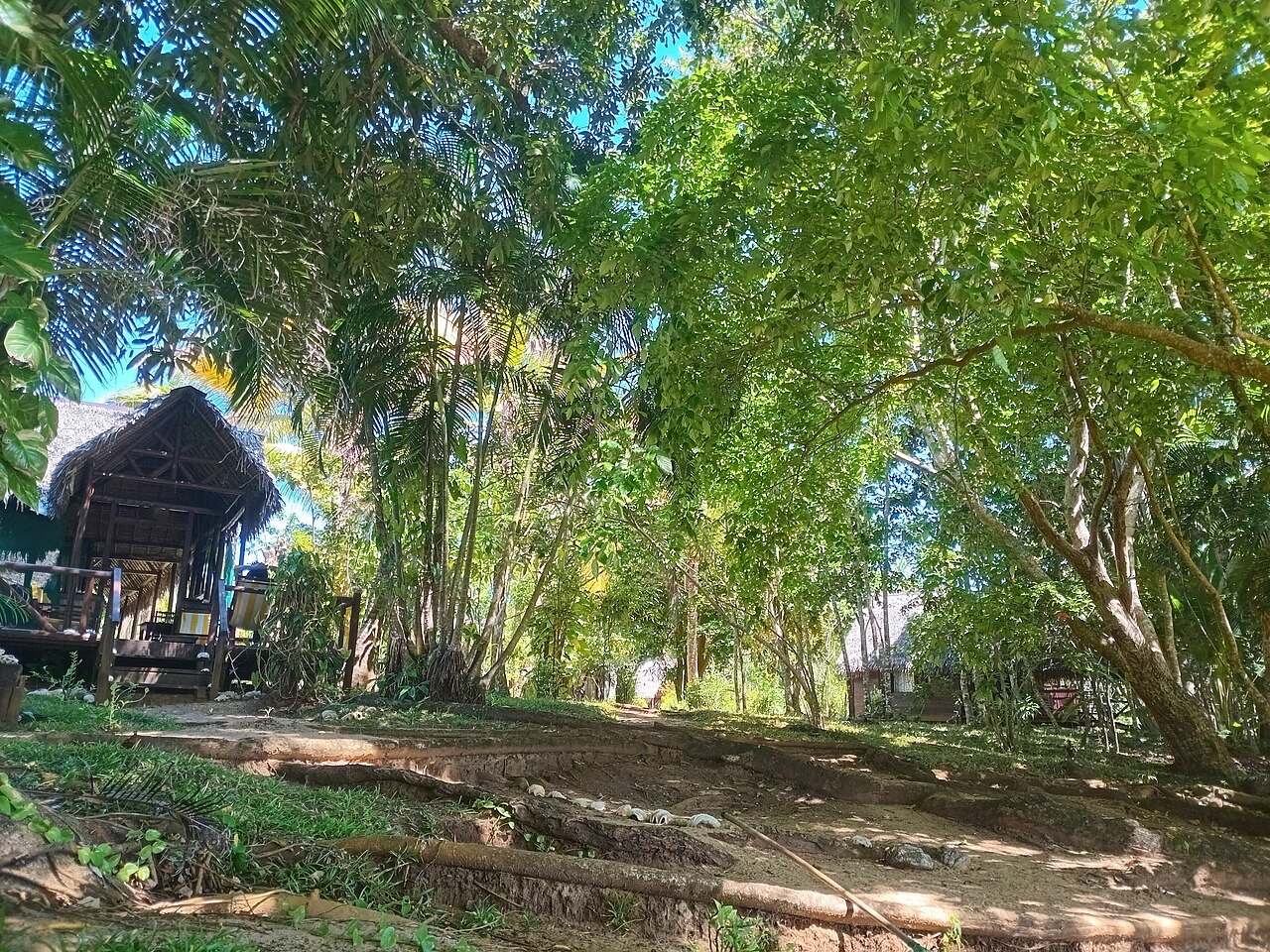 Masoala National Park