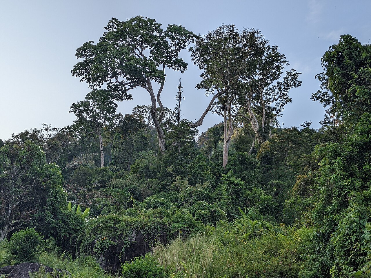 Masoala National Park