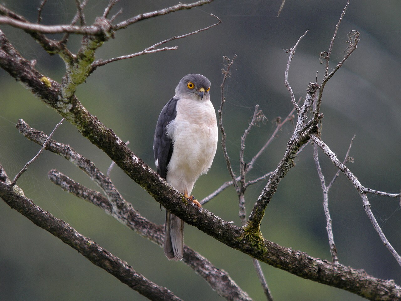 Masoala National Park