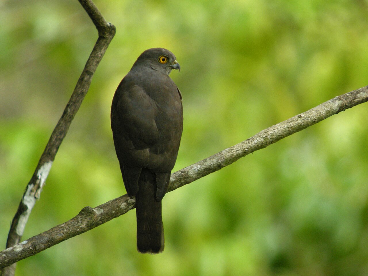 Masoala National Park