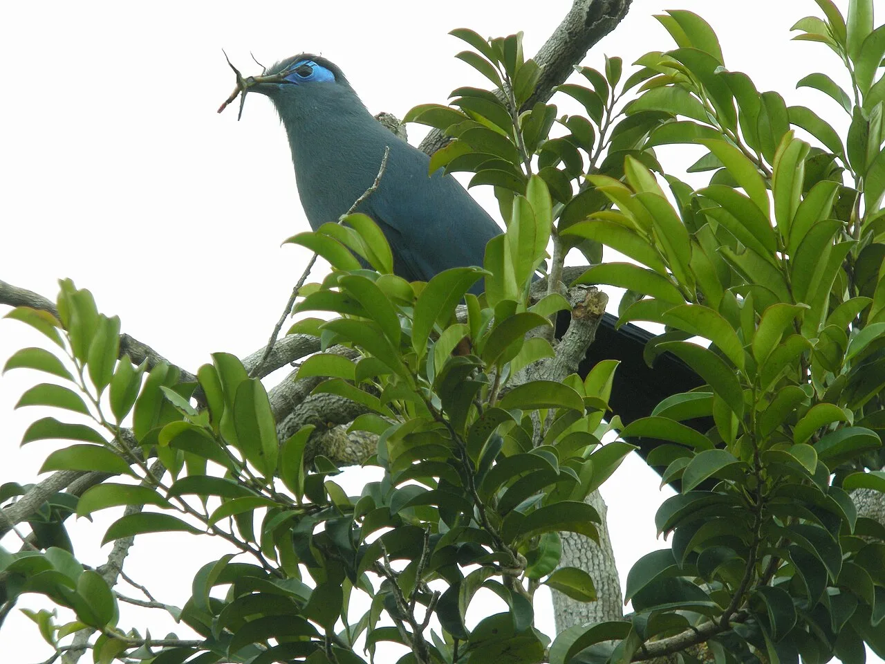Masoala National Park