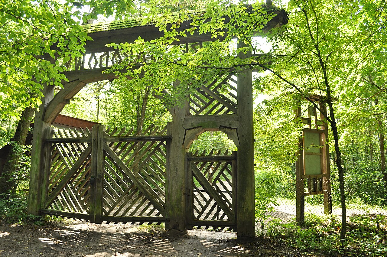 Białowieża National Park
