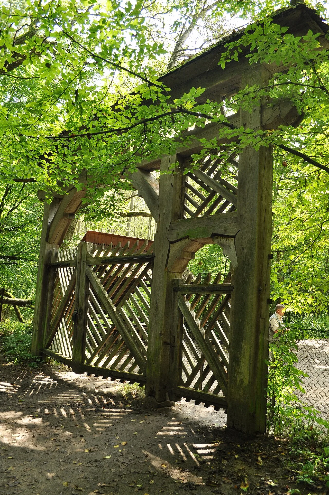 Białowieża National Park