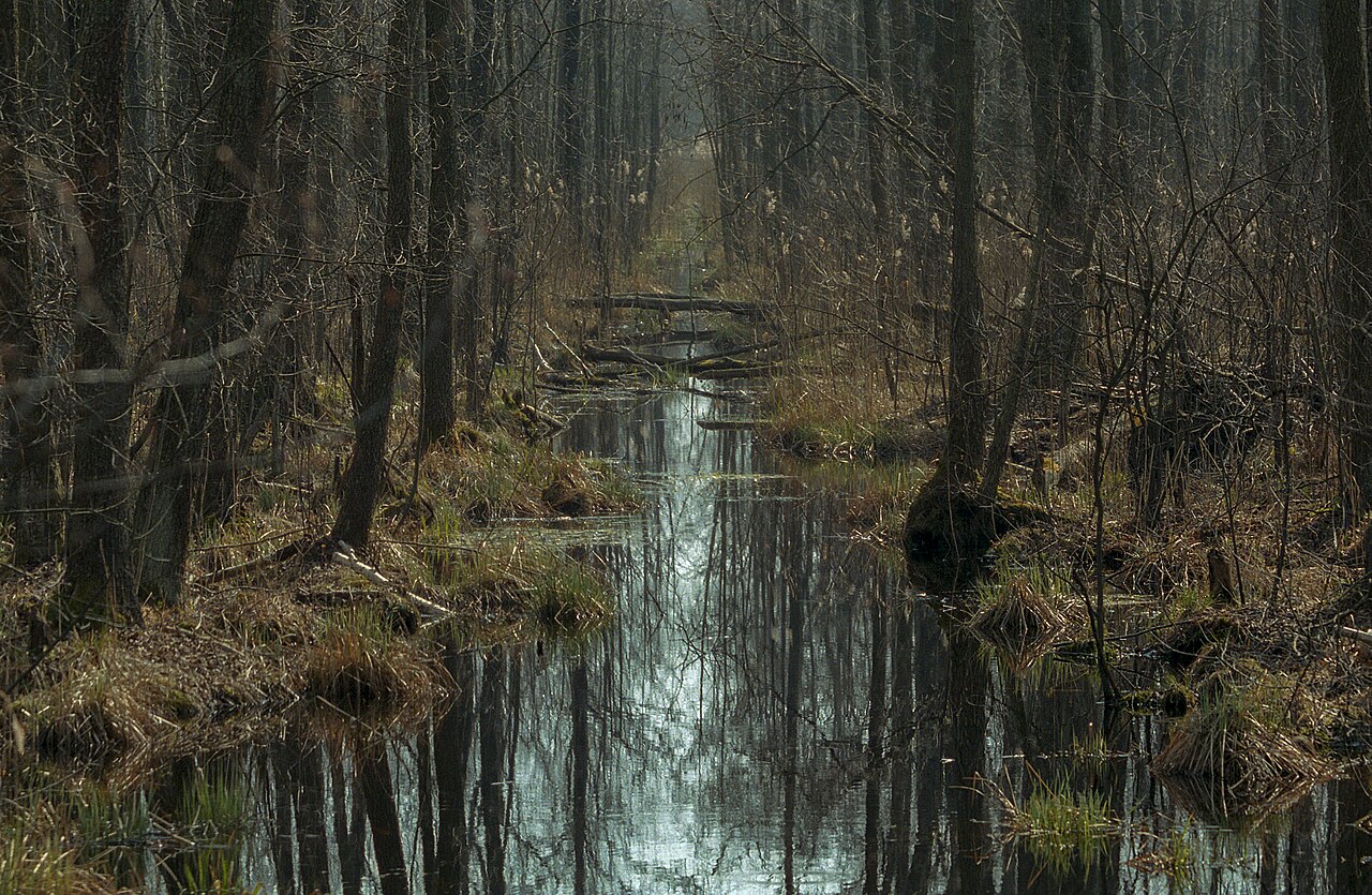 Biebrza National Park
